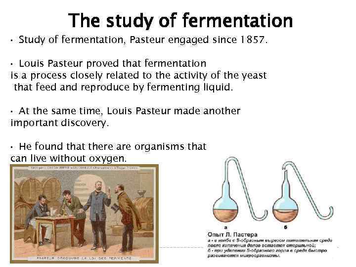 The study of fermentation • Study of fermentation, Pasteur engaged since 1857. Louis Pasteur