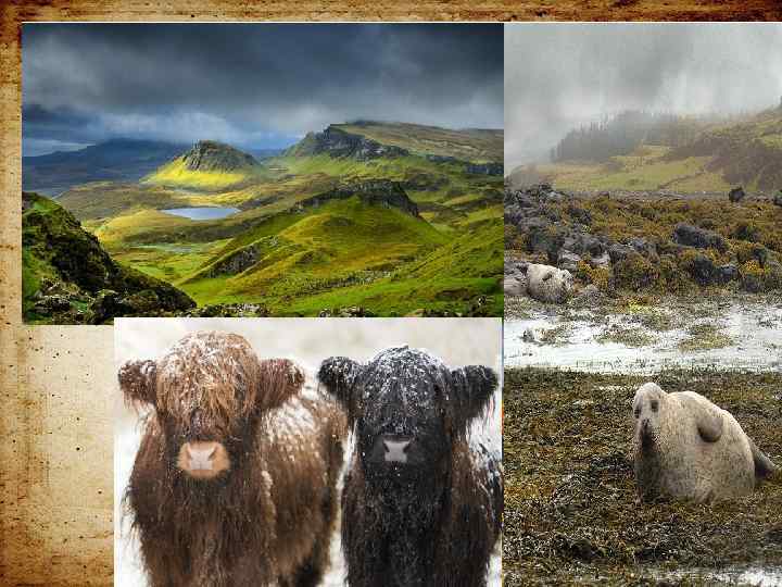  • Самый популярный среди островов – остров Скай, родина клана Мак. Лаудов, но