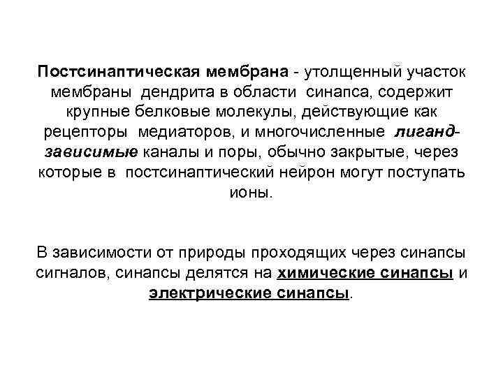 Постсинаптическая мембрана - утолщенный участок мембраны дендрита в области синапса, содержит крупные белковые молекулы,