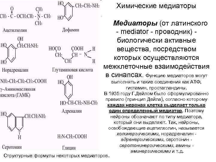 Химические медиаторы Медиаторы (от латинского - mediator - проводник) биологически активные вещества, посредством которых