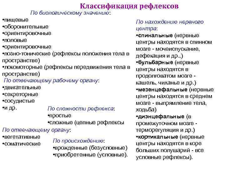 Классификация рефлексов По биологическому значению: • пищевые • оборонительные • ориентировочные • половые •