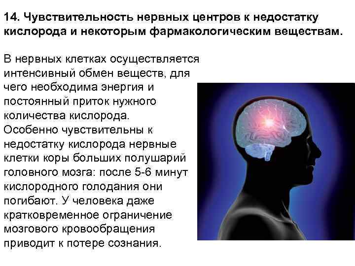 14. Чувствительность нервных центров к недостатку кислорода и некоторым фармакологическим веществам. В нервных клетках