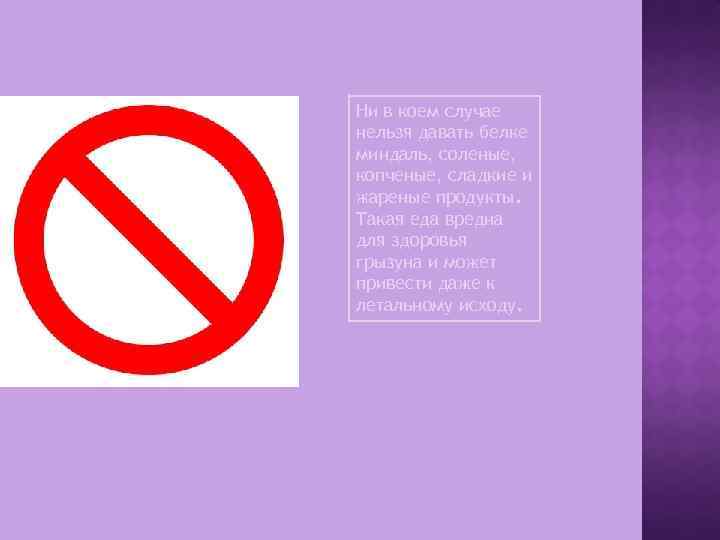 Ни в коем случае нельзя давать белке миндаль, соленые, копченые, сладкие и жареные продукты.
