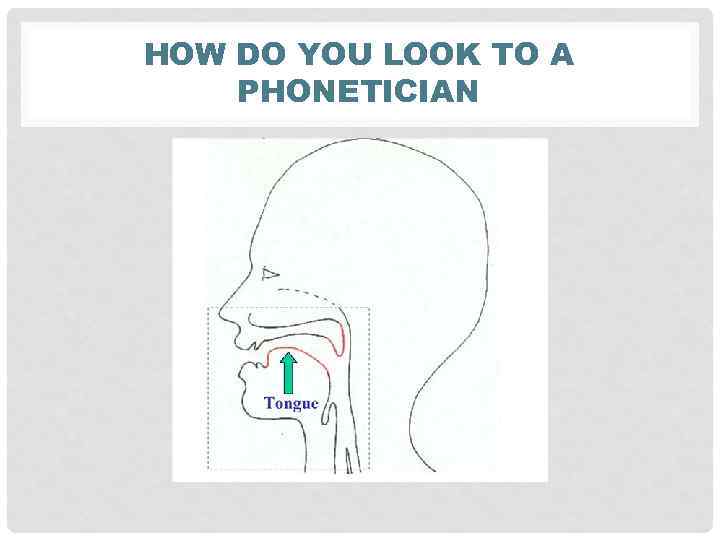 HOW DO YOU LOOK TO A PHONETICIAN 