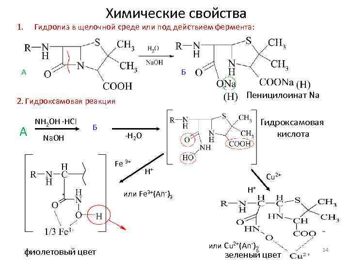 Химические свойства 1. Гидролиз в щелочной среде или под действием фермента: А Б Пеницилоинат