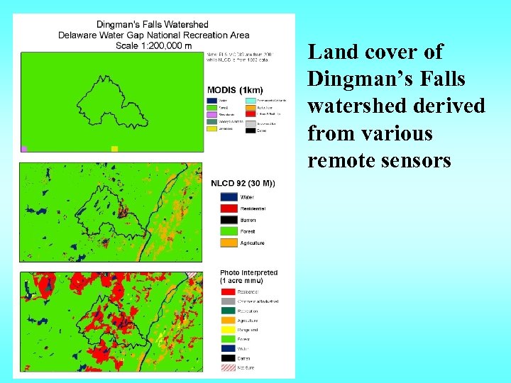 Land cover of Dingman’s Falls watershed derived from various remote sensors 