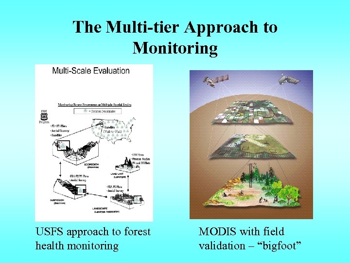 The Multi-tier Approach to Monitoring USFS approach to forest health monitoring MODIS with field