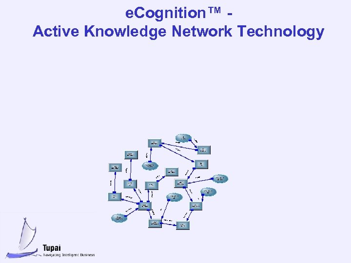 e. Cognition™ Active Knowledge Network Technology 