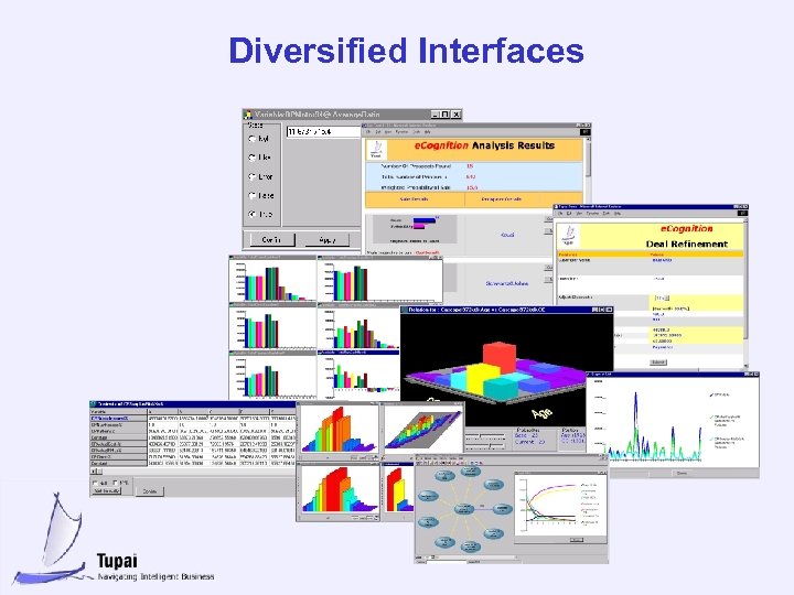 Diversified Interfaces 