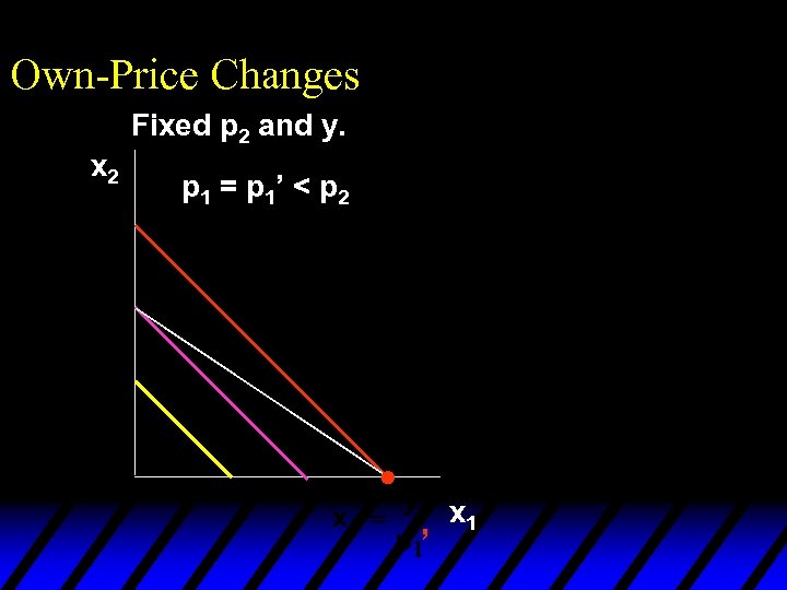 Own-Price Changes Fixed p 2 and y. x 2 p 1 = p 1’