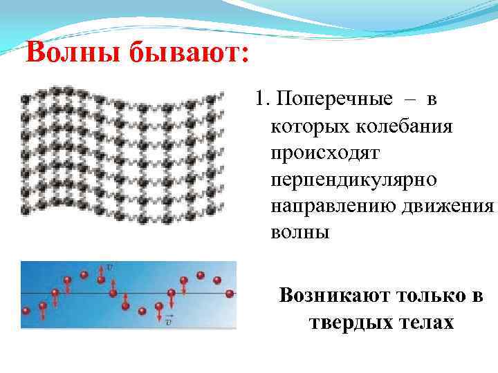 Волны бывают: 1. Поперечные – в которых колебания происходят перпендикулярно направлению движения волны Возникают