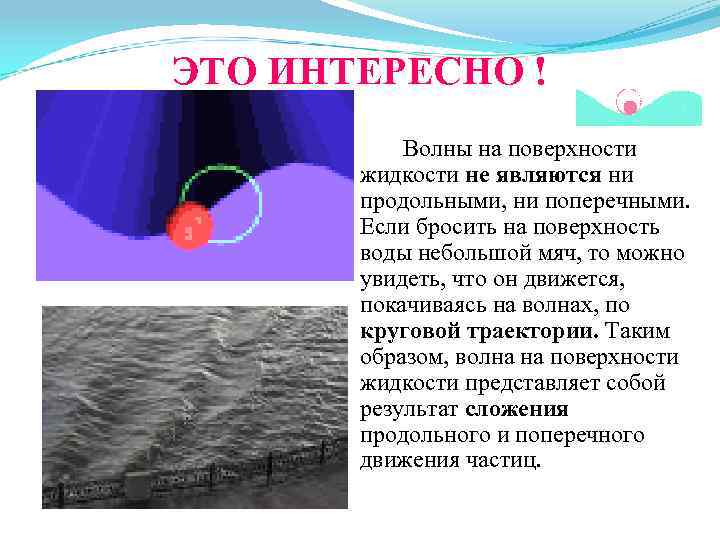 ЭТО ИНТЕРЕСНО ! Волны на поверхности жидкости не являются ни продольными, ни поперечными. Если