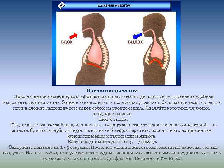 Брюшное дыхание Пока вы не почувствуете, как работают мышцы живота и диафрагмы, упражнение удобнее