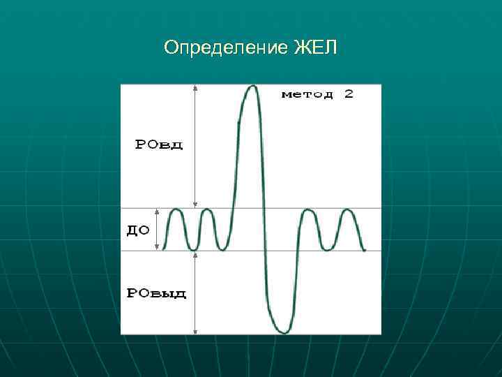 Определение ЖЕЛ 