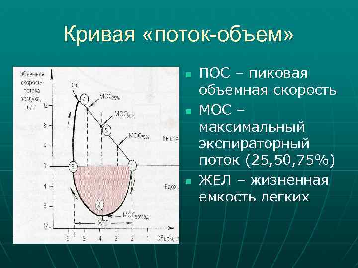 Кривая «поток-объем» n n n ПОС – пиковая объемная скорость МОС – максимальный экспираторный