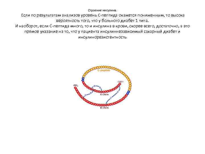 Строение инсулина. Если по результатам анализов уровень С-пептида окажется пониженным, то высока вероятность того,