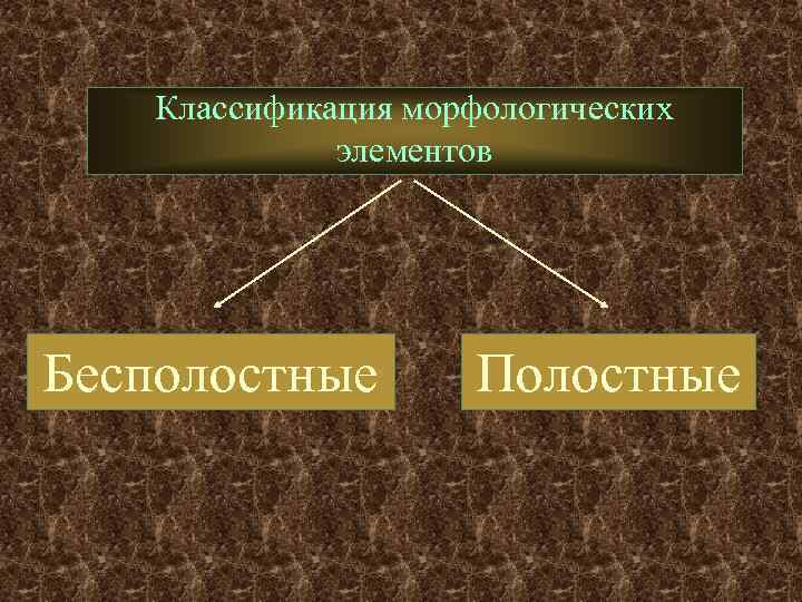 Классификация морфологических элементов Бесполостные Полостные 