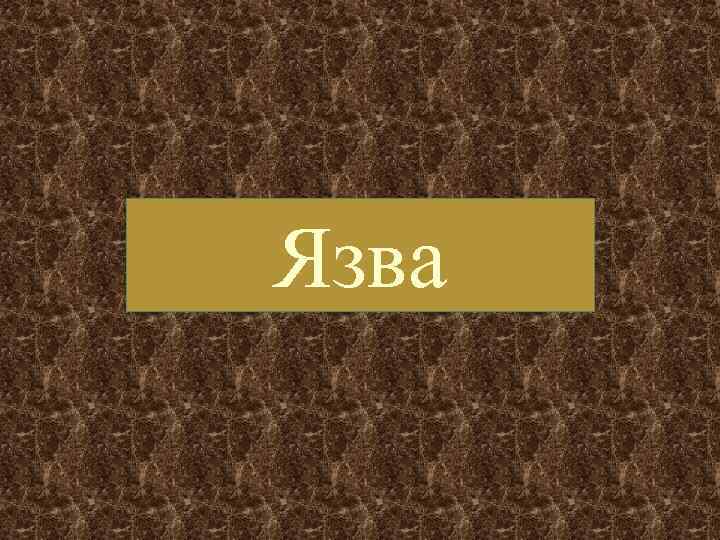 Язва 