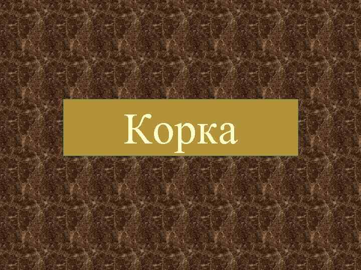Корка 