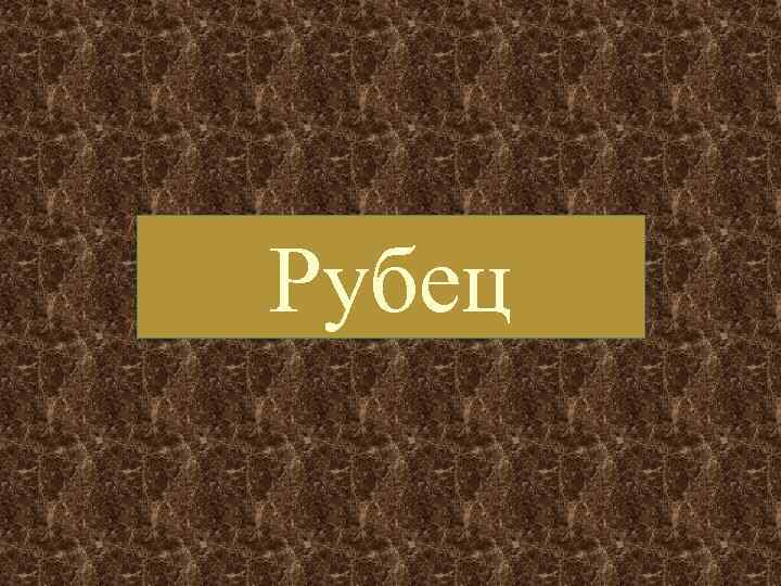 Рубец 