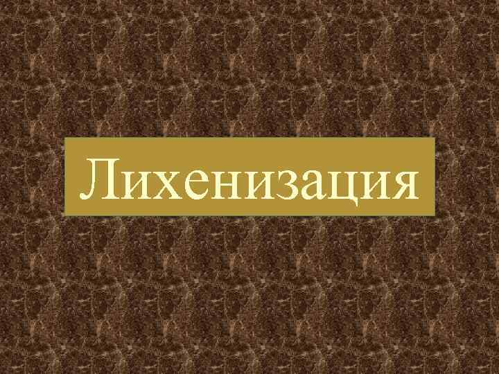 Лихенизация 