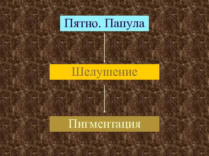 Пятно. Папула Шелушение Пигментация 