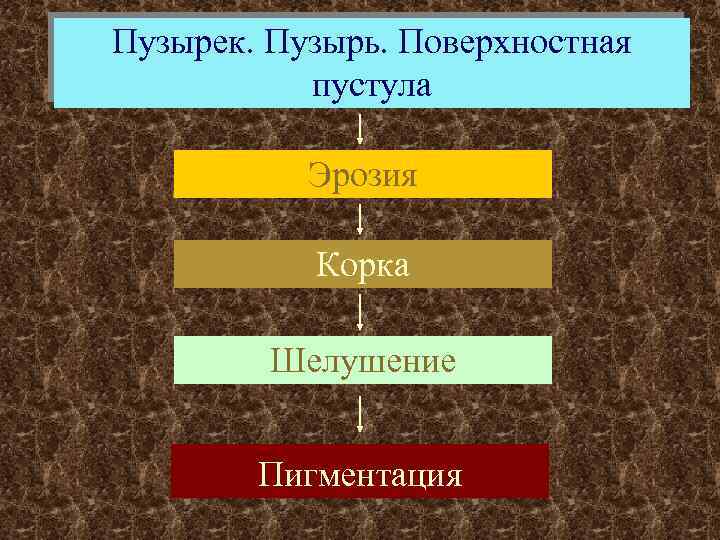 Пузырек. Пузырь. Поверхностная пустула Эрозия Корка Шелушение Пигментация 