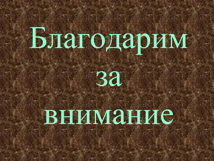 Благодарим за внимание 