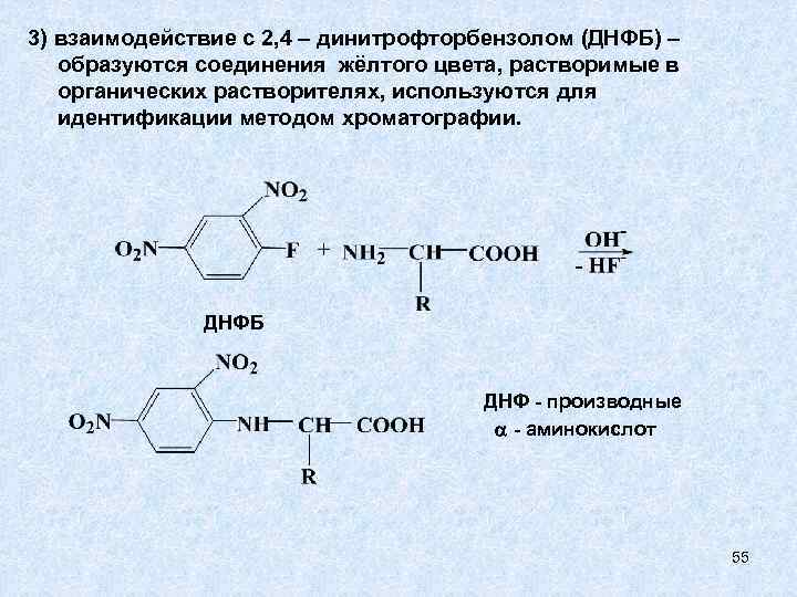 3) взаимодействие с 2, 4 – динитрофторбензолом (ДНФБ) – образуются соединения жёлтого цвета, растворимые