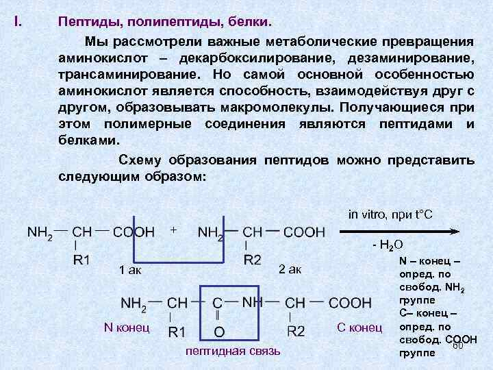 I. Пептиды, полипептиды, белки. Мы рассмотрели важные метаболические превращения аминокислот – декарбоксилирование, дезаминирование, трансаминирование.