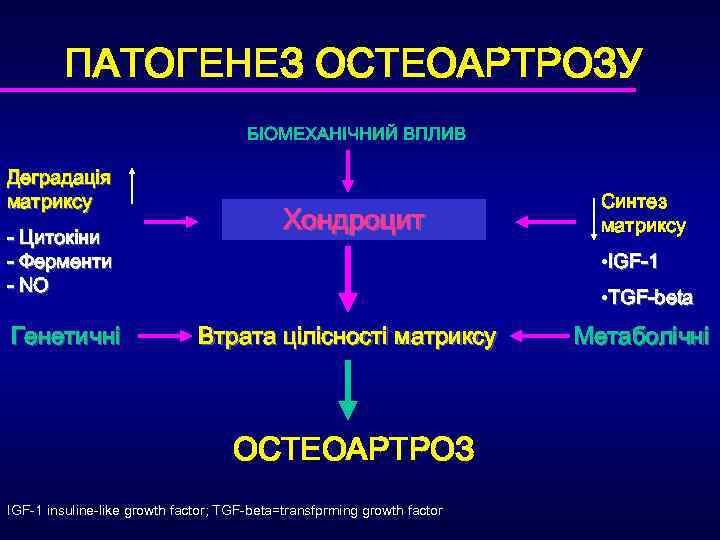 ПАТОГЕНЕЗ ОСТЕОАРТРОЗУ БІОМЕХАНІЧНИЙ ВПЛИВ Деградація матриксу - Цитокіни - Ферменти - NO Генетичні Хондроцит