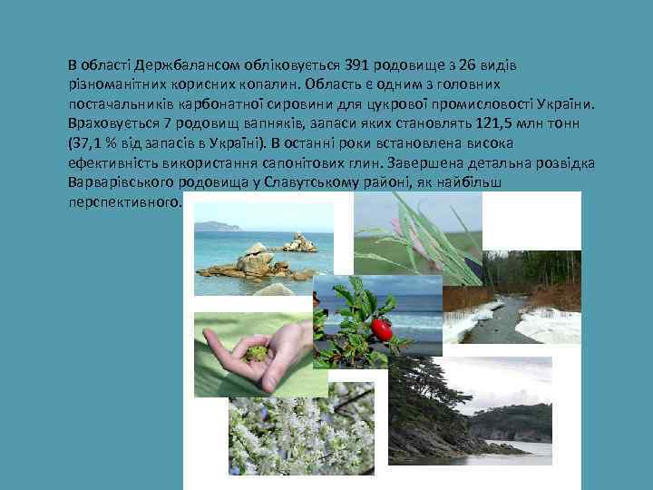 В області Держбалансом обліковується 391 родовище з 26 видів різноманітних корисних копалин. Область є