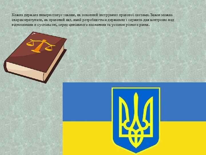 Кожна держава використовує закони, як основний інструмент правової системи. Закон можна охарактеризувати, як правовий