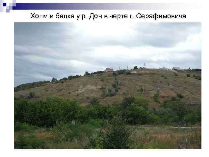 Холм и балка у р. Дон в черте г. Серафимовича 