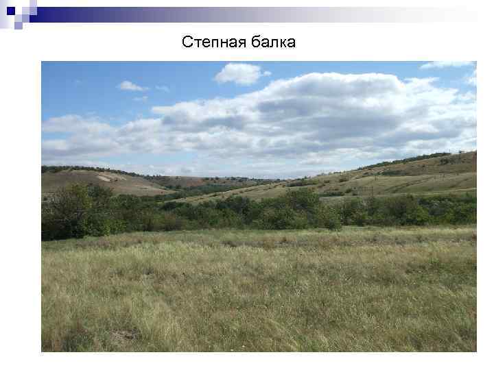 Степная балка 