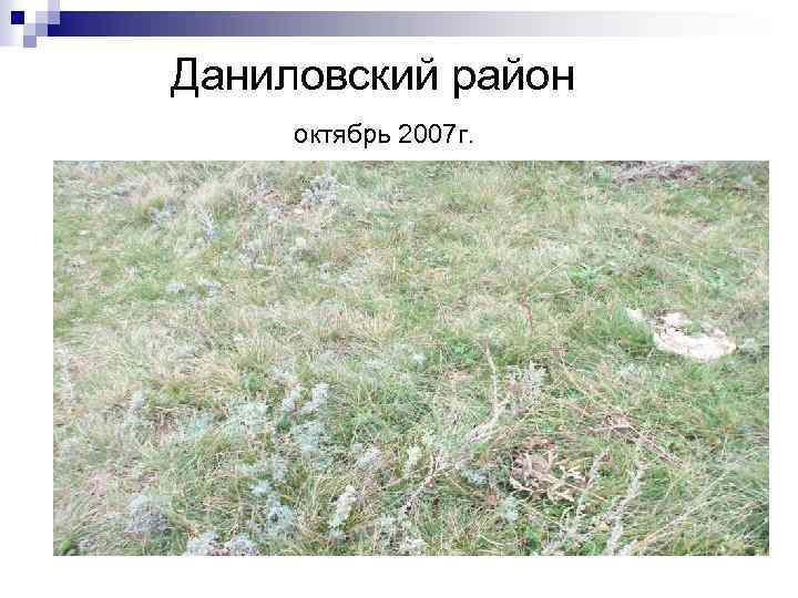 Даниловский район октябрь 2007 г. 