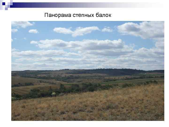 Панорама степных балок 