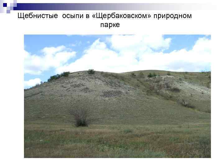 Щебнистые осыпи в «Щербаковском» природном парке 