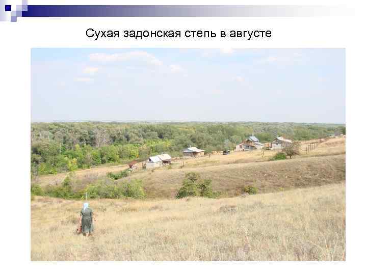 Сухая задонская степь в августе 