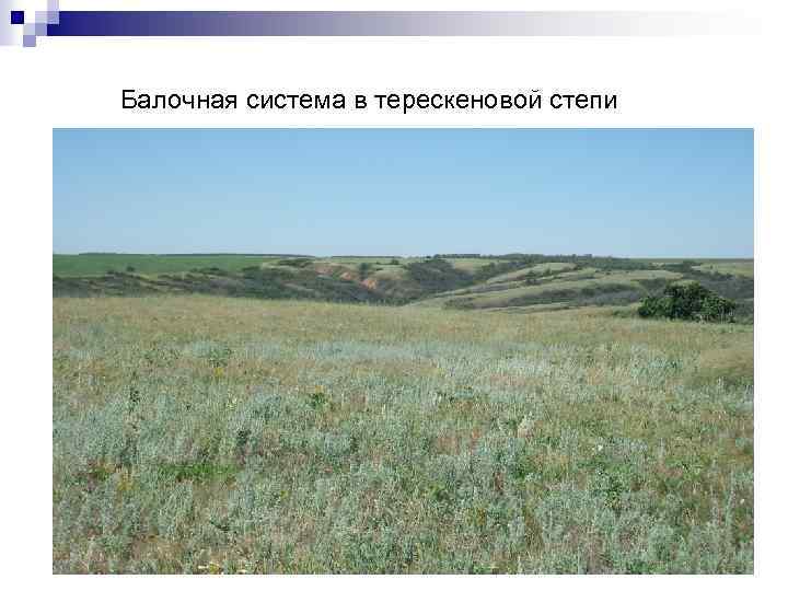 Балочная система в терескеновой степи 
