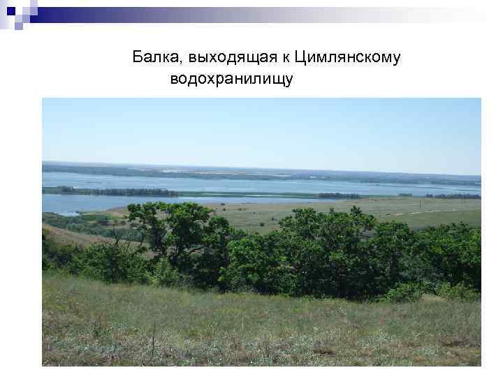 Балка, выходящая к Цимлянскому водохранилищу 