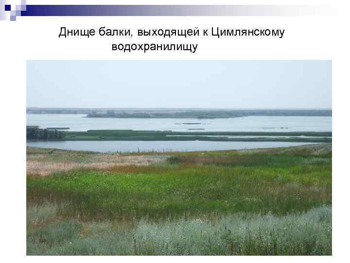 Днище балки, выходящей к Цимлянскому водохранилищу 