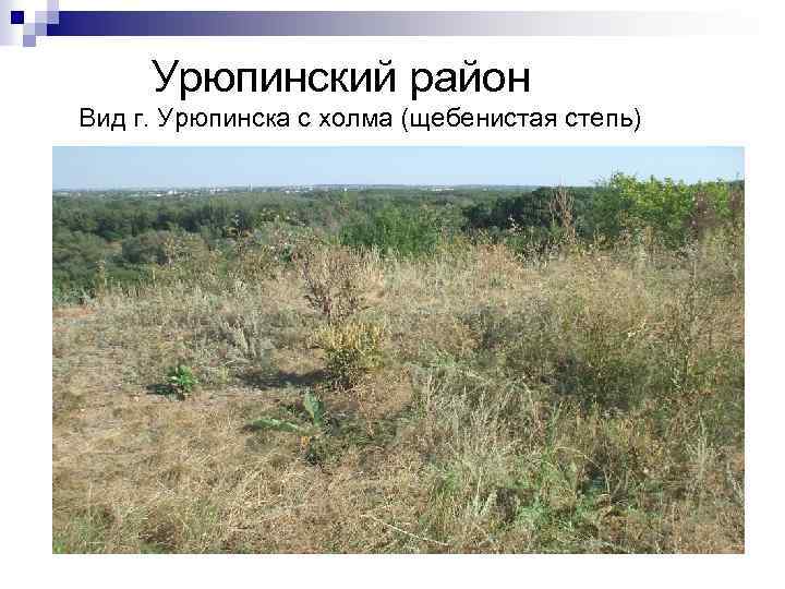Урюпинский район Вид г. Урюпинска с холма (щебенистая степь) 