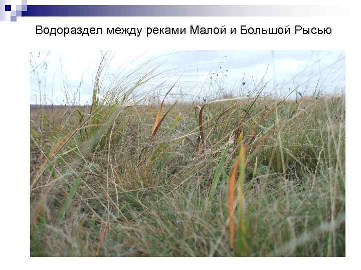 Водораздел между реками Малой и Большой Рысью 