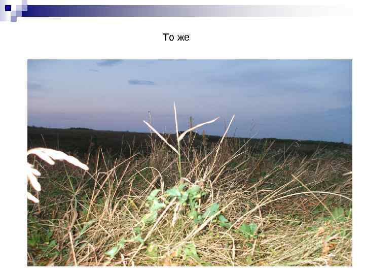 То же 