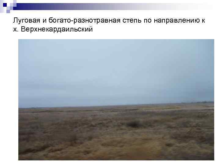 Луговая и богато-разнотравная степь по направлению к х. Верхнекардаильский 