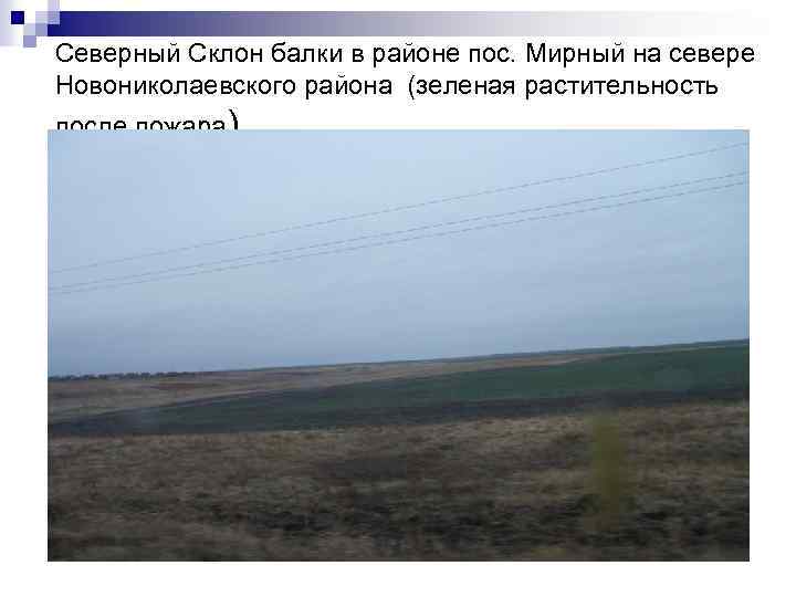 Погода на неделю в новониколаевский волгоградская область. Степь Волгоградской области. Лазоревая балка Новониколаевский район. Лазоревая балка Новониколаевский район Волгоградская область. Степи Волгоградской области сообщение.