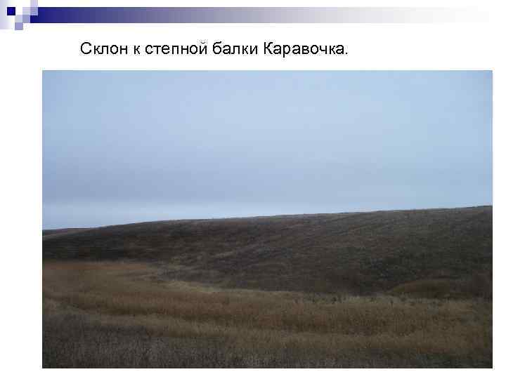 Склон к степной балки Каравочка. 
