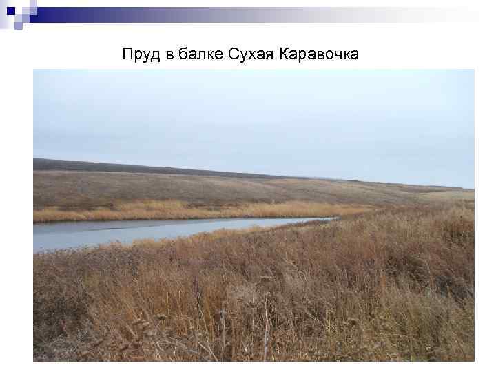 Пруд в балке Сухая Каравочка 