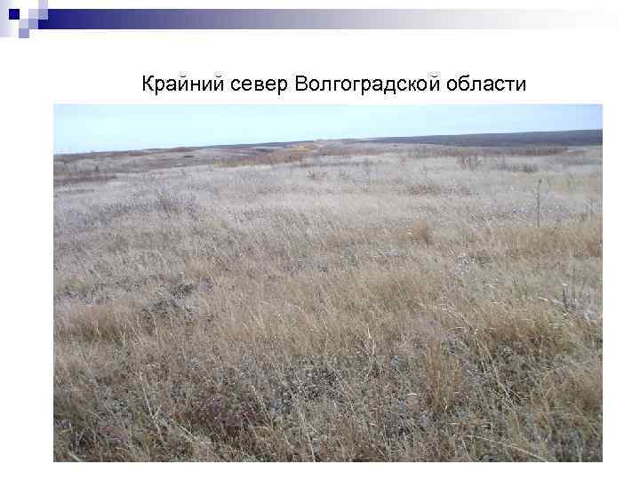 Крайний север Волгоградской области 